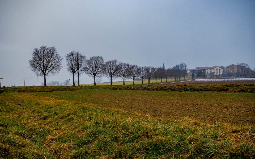 fotografia de casa rural